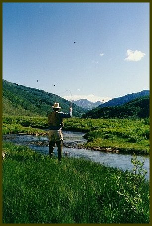 Fly fishing at Cement Creek